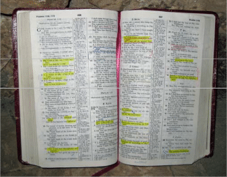 Open Bible Open Bible
