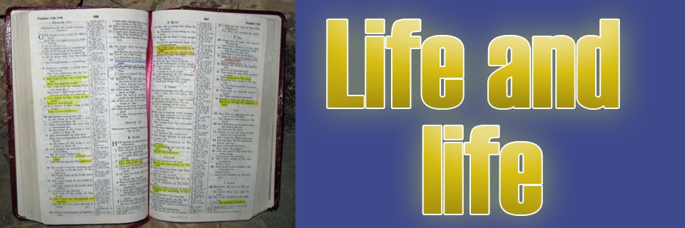 Main Image - Life